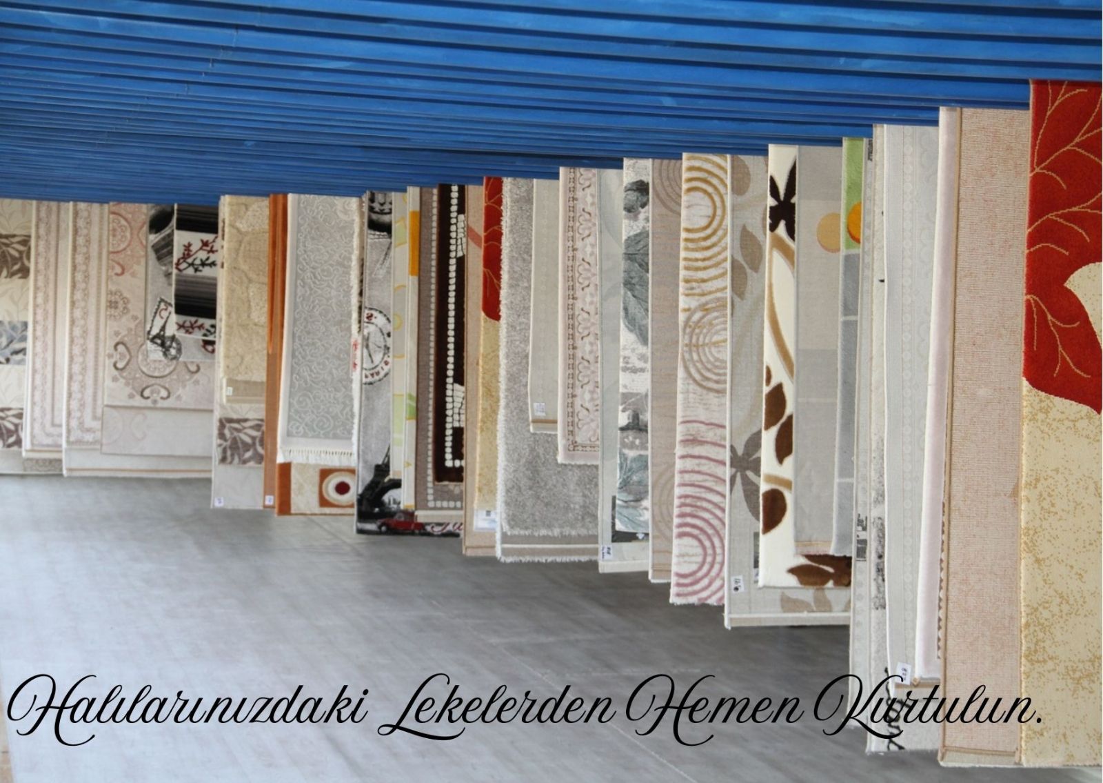 Toroslar Halı Yıkama Kampanyaları